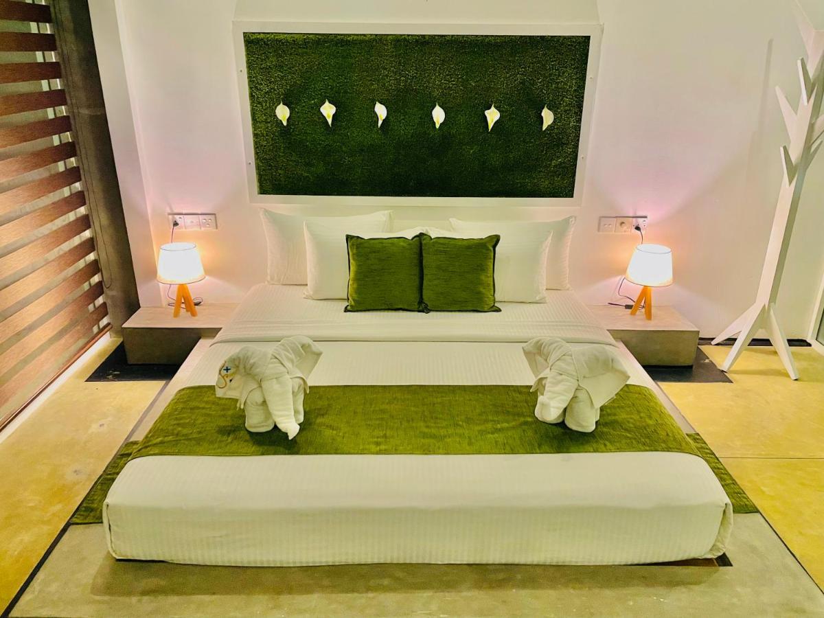8 Plus Motels Negombo Esterno foto